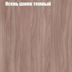 Шкаф-купе «ТАНДЕМ» 2-х дверный в алюминиевом профиле (Дверь К+К) 1200/h2200 в Снежинске - snezhinsk.ok-mebel.com | фото 7
