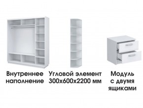 Шкаф-купе «ТАНДЕМ» 3-х дверный в белом профиле (Дверь ЛДСП+Z+Z) 2400/h2200 в Снежинске - snezhinsk.ok-mebel.com | фото 3