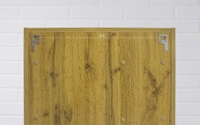 Шкаф-зеркало Craft 60 левый/правый Домино (DCr2203HZ) в Снежинске - snezhinsk.ok-mebel.com | фото 9