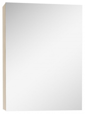 Шкаф-зеркало Мечта 50 Дуб сонома АЙСБЕРГ (DM2318HZ) в Снежинске - snezhinsk.ok-mebel.com | фото 1