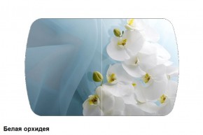 Стол Бостон 900*600 (опоры Брифинг) Стекло/фотопечать Белая Орхидея в Снежинске - snezhinsk.ok-mebel.com | фото