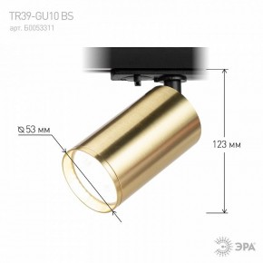Светильник на штанге Эра  TR39-GU10 BS в Снежинске - snezhinsk.ok-mebel.com | фото 6