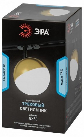 Светильник на штанге Эра  TR42-GX53 BS в Снежинске - snezhinsk.ok-mebel.com | фото 6
