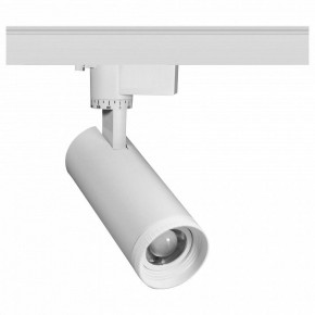 Светильник на штанге Эра  TR59 - 2030 WH в Снежинске - snezhinsk.ok-mebel.com | фото