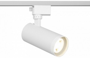 Светильник на штанге Эра  TR59 - 2040 WH в Снежинске - snezhinsk.ok-mebel.com | фото