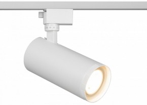 Светильник на штанге Эра  TR59 - 3030 WH в Снежинске - snezhinsk.ok-mebel.com | фото