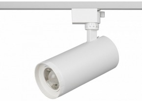 Светильник на штанге Эра  TR59 - 3030 WH в Снежинске - snezhinsk.ok-mebel.com | фото 2