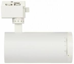 Светильник на штанге Эра  TR59 - 3030 WH в Снежинске - snezhinsk.ok-mebel.com | фото 4