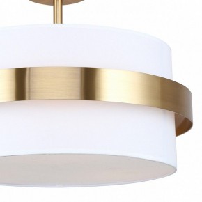 Светильник на штанге Freya Bride FR5367CL-03BS в Снежинске - snezhinsk.ok-mebel.com | фото 3