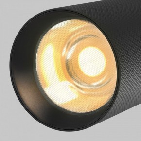 Светильник на штанге Maytoni Artisan TR097-2-12W2.7K-M-BB в Снежинске - snezhinsk.ok-mebel.com | фото 9