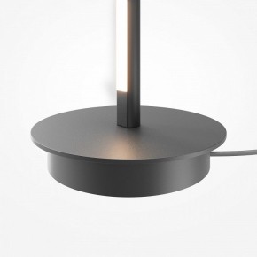 Торшер Maytoni Thin MOD395FL-L28B3K в Снежинске - snezhinsk.ok-mebel.com | фото 8