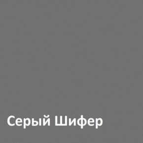 Юнона Шкаф торцевой 13.221 в Снежинске - snezhinsk.ok-mebel.com | фото 2