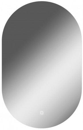 Зеркало Дакка 800х500 с подсветкой Домино (GL7036Z) в Снежинске - snezhinsk.ok-mebel.com | фото 1